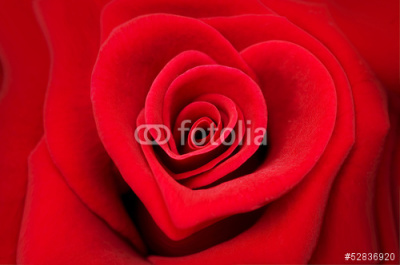 Macro